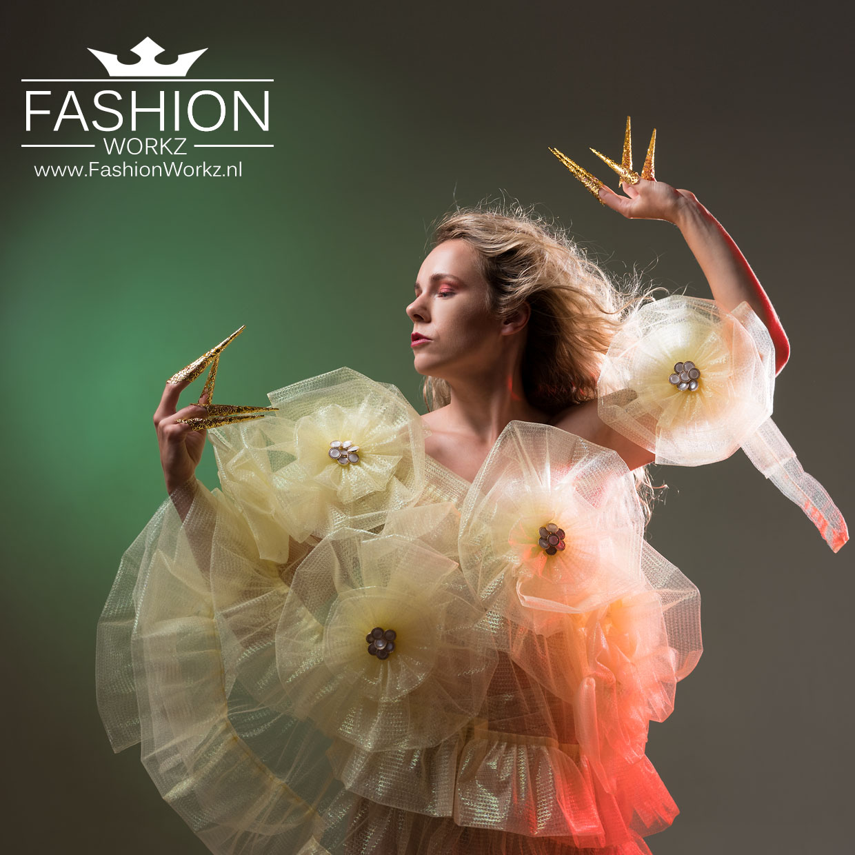 budget fashionstudio