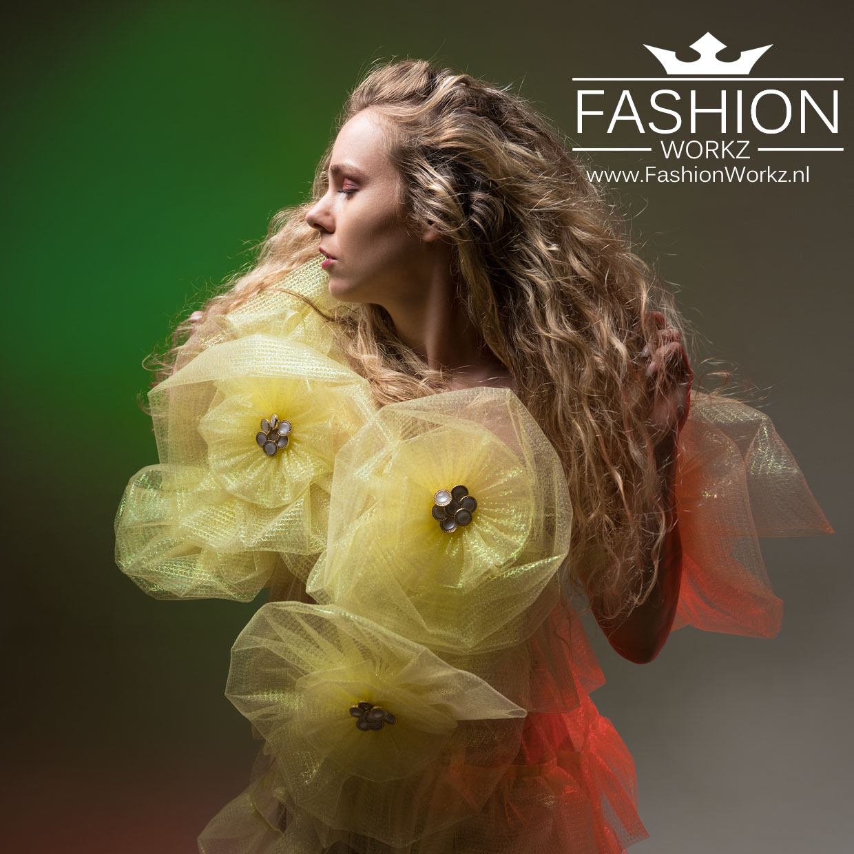 budget fashionstudio