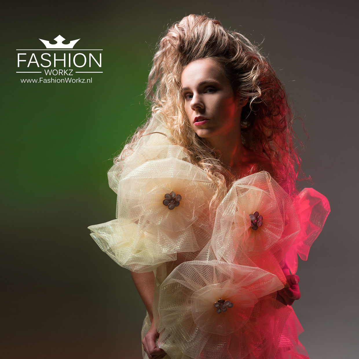 budget fashionstudio