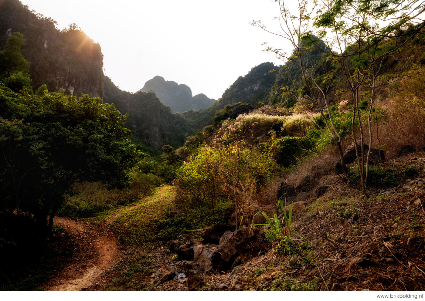 vietnam